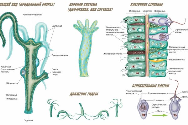 Регистрация на kraken com